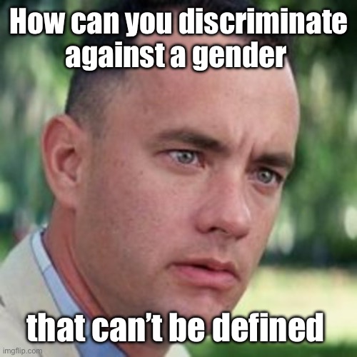 Fighting for the rights of a social construct that can’t be defined? | How can you discriminate against a gender; that can’t be defined | image tagged in forrest gump i'm not a smart man,politics lol,memes | made w/ Imgflip meme maker
