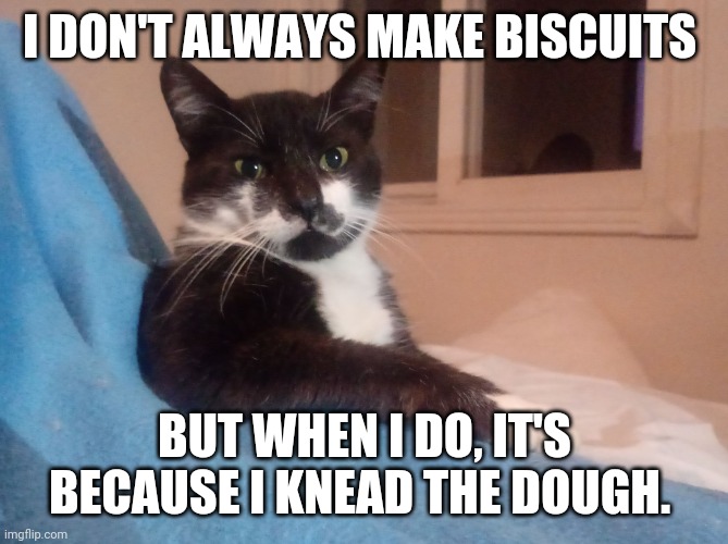 I DON'T ALWAYS MAKE BISCUITS BUT WHEN I DO, IT'S BECAUSE I KNEAD THE DOUGH. | image tagged in the most interesting cat in the world | made w/ Imgflip meme maker