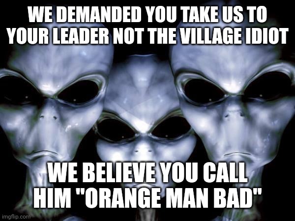 grey aliens | WE DEMANDED YOU TAKE US TO YOUR LEADER NOT THE VILLAGE IDIOT; WE BELIEVE YOU CALL HIM "ORANGE MAN BAD" | image tagged in grey aliens | made w/ Imgflip meme maker