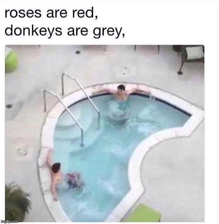 image tagged in memes,funny | made w/ Imgflip meme maker