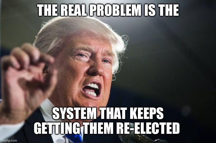 donald trump | THE REAL PROBLEM IS THE SYSTEM THAT KEEPS GETTING THEM RE-ELECTED | image tagged in donald trump | made w/ Imgflip meme maker
