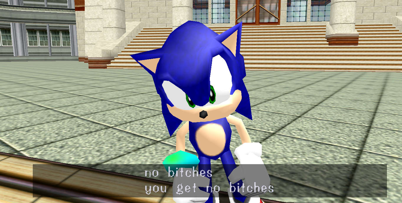High Quality sonic no bitches Blank Meme Template