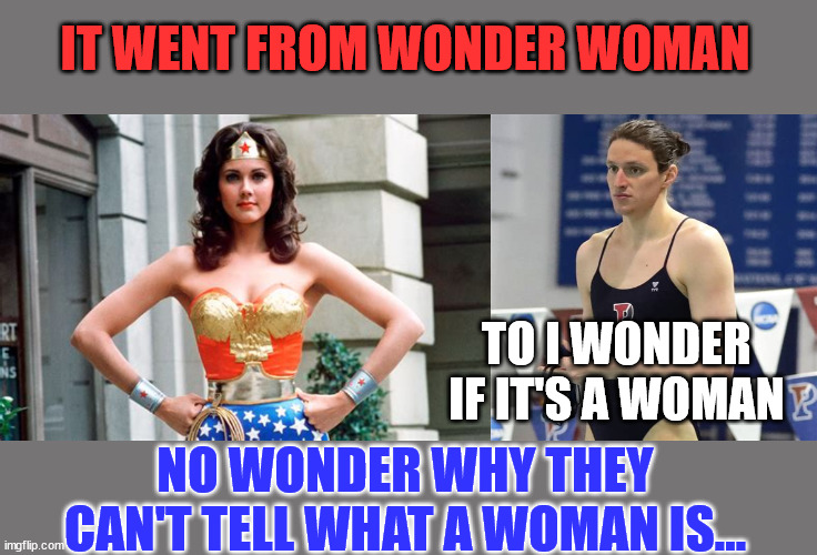 They cannot give you the definition of a woman today... | IT WENT FROM WONDER WOMAN; TO I WONDER IF IT'S A WOMAN; NO WONDER WHY THEY CAN'T TELL WHAT A WOMAN IS... | image tagged in wonder woman,woman,definition | made w/ Imgflip meme maker