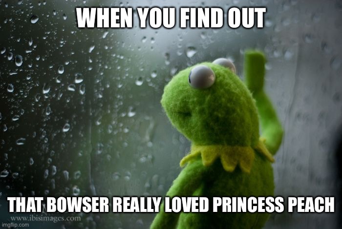 kermit window | WHEN YOU FIND OUT; THAT BOWSER REALLY LOVED PRINCESS PEACH | image tagged in kermit window | made w/ Imgflip meme maker