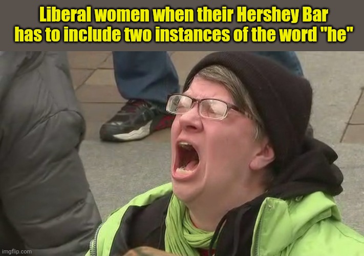 Love Thy Neighbor! | Liberal women when their Hershey Bar has to include two instances of the word "he" | image tagged in love thy neighbor,politics lol | made w/ Imgflip meme maker