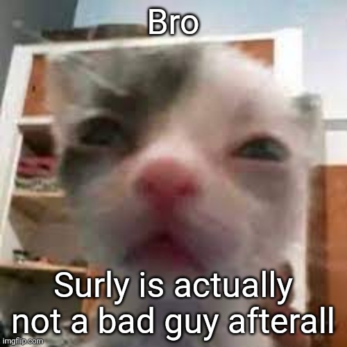 Cat lightskin stare | Bro; Surly is actually not a bad guy afterall | image tagged in cat lightskin stare | made w/ Imgflip meme maker