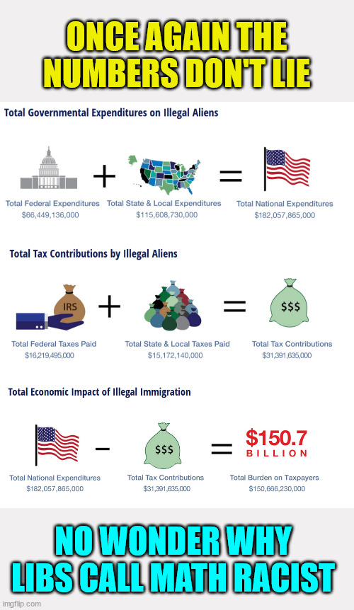 You can see why libs call math racist...they don't like the numbers... | ONCE AGAIN THE NUMBERS DON'T LIE; NO WONDER WHY LIBS CALL MATH RACIST | image tagged in illegal aliens,what did it cost | made w/ Imgflip meme maker