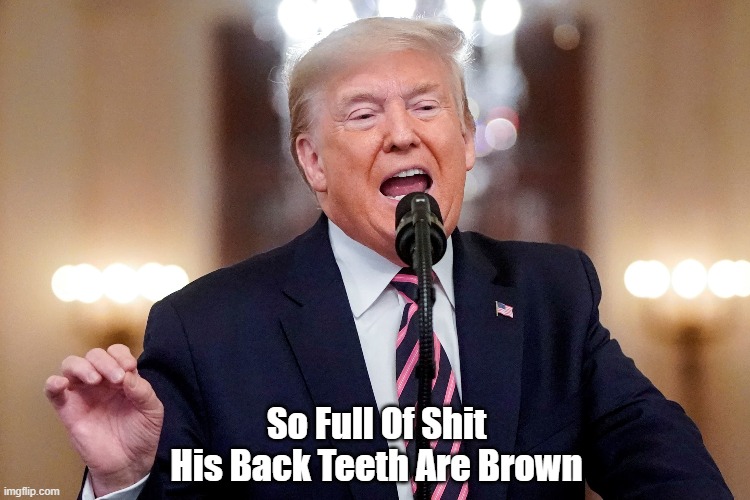 "So Full Of Shit..." | So Full Of Shit His Back Teeth Are Brown | image tagged in trump,full of shit,shitstorm,shit storm,fecal fog man,back teeth are brown | made w/ Imgflip meme maker