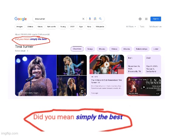 Google ate that (I actually found this when I searched her up) | image tagged in rip,simply the best,original,google,famous,tina turner | made w/ Imgflip meme maker