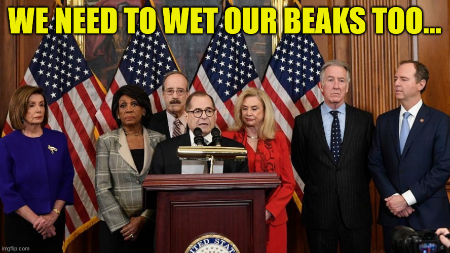 House Democrats | WE NEED TO WET OUR BEAKS TOO... | image tagged in house democrats | made w/ Imgflip meme maker