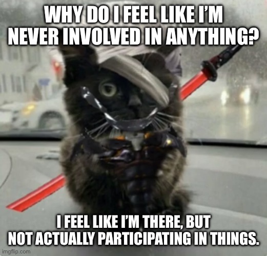 It’s like this in this stream and MSMG for me | WHY DO I FEEL LIKE I’M NEVER INVOLVED IN ANYTHING? I FEEL LIKE I’M THERE, BUT NOT ACTUALLY PARTICIPATING IN THINGS. | image tagged in raiden cat | made w/ Imgflip meme maker