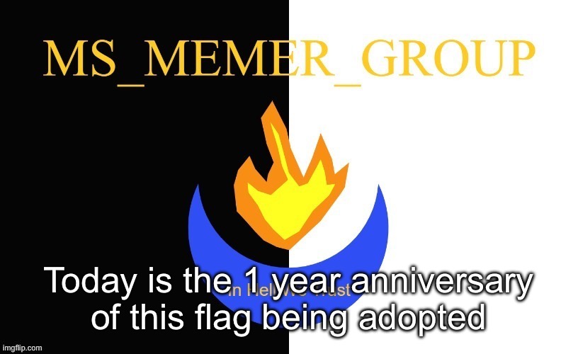 MSMG Flag | Today is the 1 year anniversary of this flag being adopted | image tagged in msmg flag | made w/ Imgflip meme maker