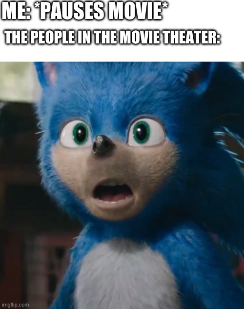 Sonic Movie | ME: *PAUSES MOVIE*; THE PEOPLE IN THE MOVIE THEATER: | image tagged in sonic movie | made w/ Imgflip meme maker