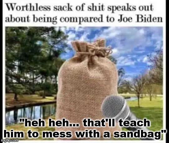 Karma sack... | "heh heh... that'll teach him to mess with a sandbag" | image tagged in dementia,joe biden | made w/ Imgflip meme maker