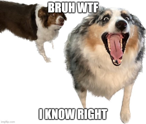 BRUH WTF; I KNOW RIGHT | made w/ Imgflip meme maker