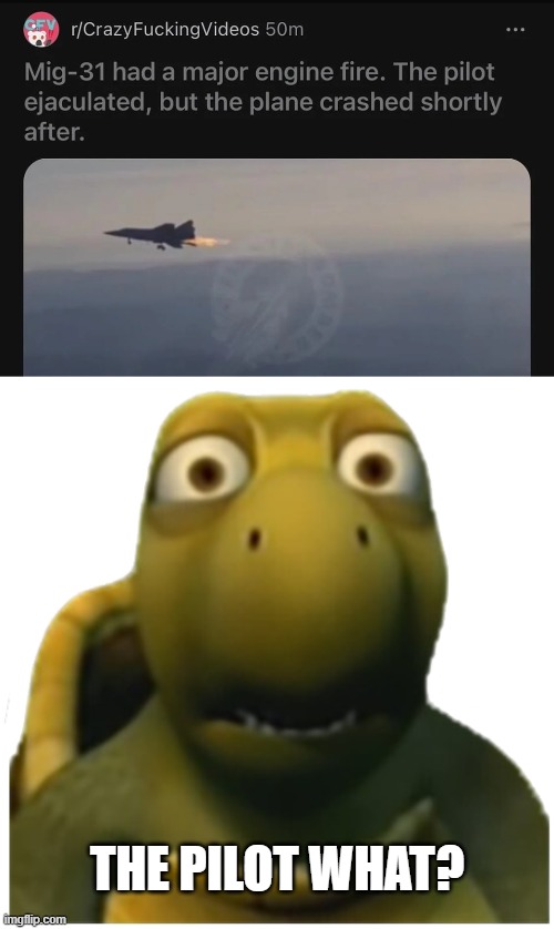 He did what now? | THE PILOT WHAT? | image tagged in augh turtle | made w/ Imgflip meme maker