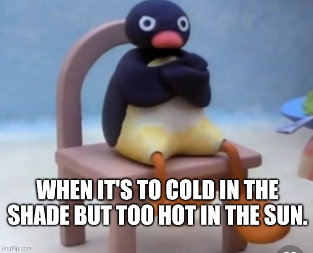 Angry pingu | WHEN IT'S TO COLD IN THE SHADE BUT TOO HOT IN THE SUN. | image tagged in angry pingu | made w/ Imgflip meme maker