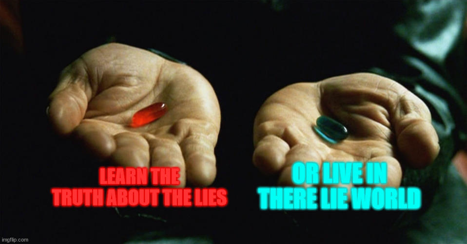 Red pill blue pill | LEARN THE TRUTH ABOUT THE LIES; OR LIVE IN THERE LIE WORLD | image tagged in red pill blue pill | made w/ Imgflip meme maker