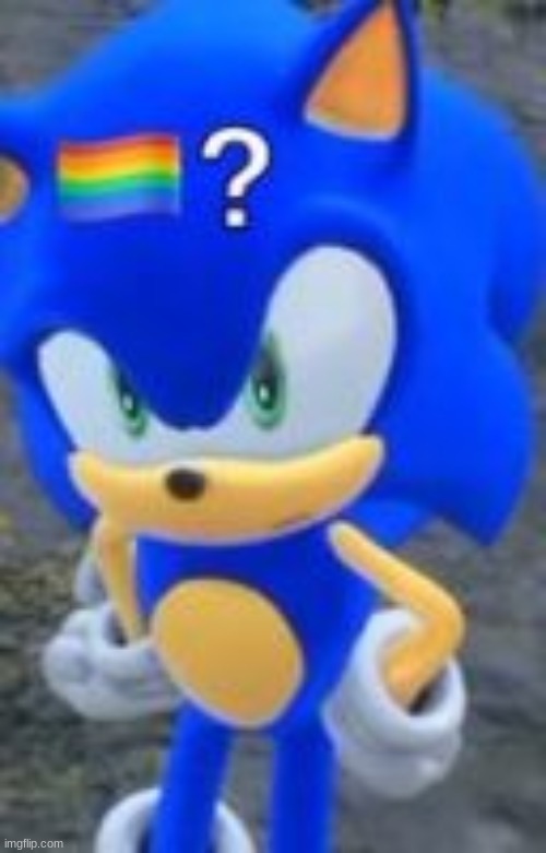 sonic gay flag | image tagged in sonic gay flag | made w/ Imgflip meme maker