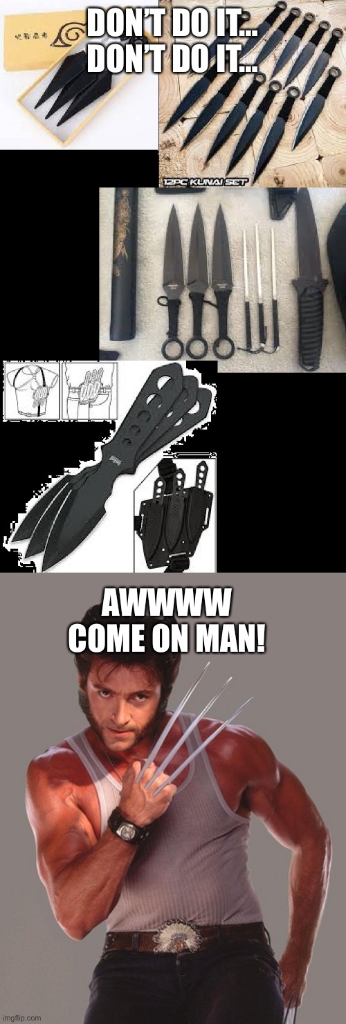 DON’T DO IT…
DON’T DO IT…; AWWWW COME ON MAN! | image tagged in throwing knives,wolverine | made w/ Imgflip meme maker