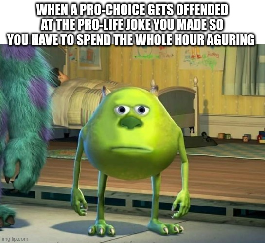 Mike Wazowski Bruh | WHEN A PRO-CHOICE GETS OFFENDED AT THE PRO-LIFE JOKE YOU MADE SO YOU HAVE TO SPEND THE WHOLE HOUR ARGUING | image tagged in mike wazowski bruh | made w/ Imgflip meme maker