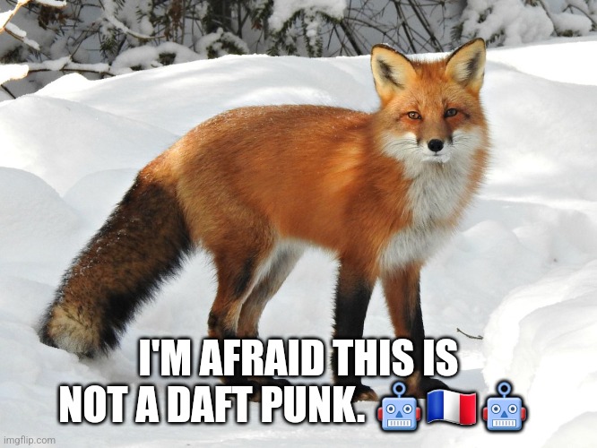 I'M AFRAID THIS IS NOT A DAFT PUNK. ???? | made w/ Imgflip meme maker