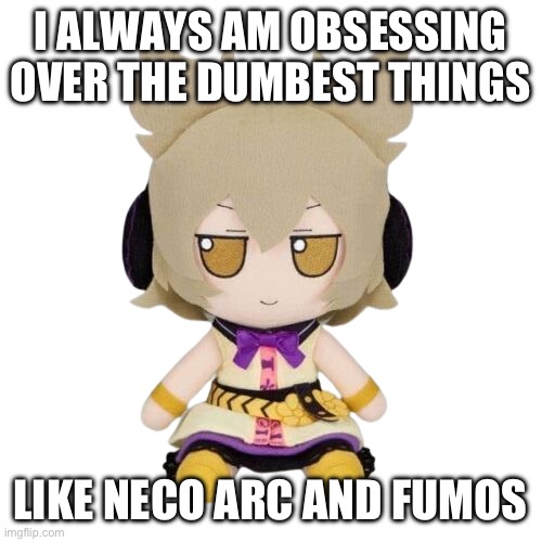 Toyosatomimi no Miko Fumo | I ALWAYS AM OBSESSING OVER THE DUMBEST THINGS; LIKE NECO ARC AND FUMOS | image tagged in toyosatomimi no miko fumo | made w/ Imgflip meme maker