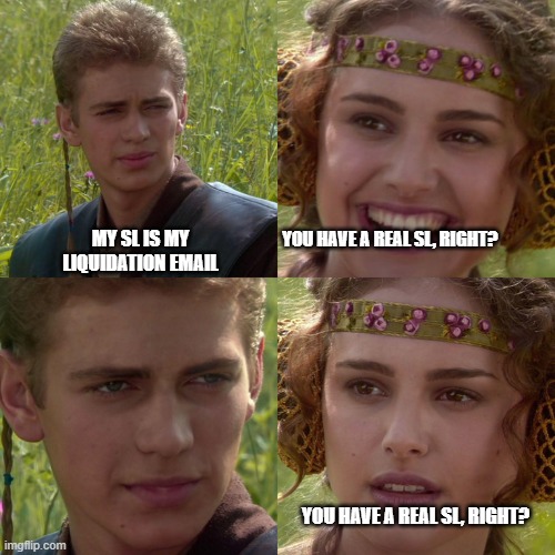 Anakin Padme 4 Panel | MY SL IS MY LIQUIDATION EMAIL; YOU HAVE A REAL SL, RIGHT? YOU HAVE A REAL SL, RIGHT? | image tagged in anakin padme 4 panel | made w/ Imgflip meme maker