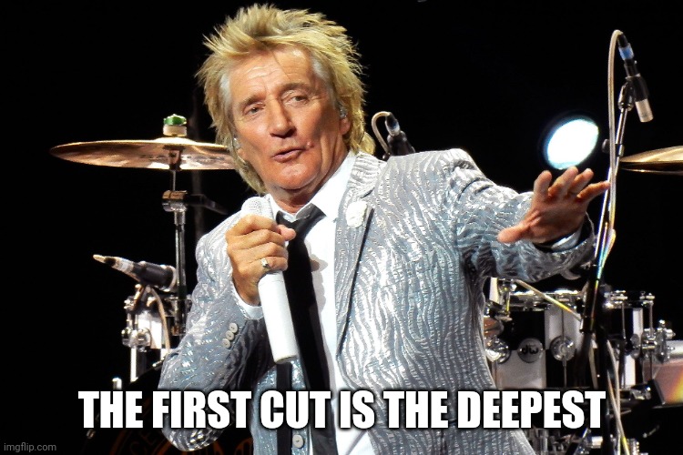 Rod Stewart | THE FIRST CUT IS THE DEEPEST | image tagged in rod stewart | made w/ Imgflip meme maker