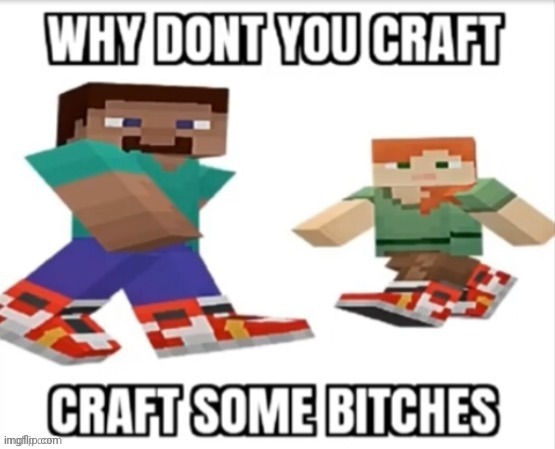 Why dont you craft some bitches | image tagged in why dont you craft some bitches | made w/ Imgflip meme maker