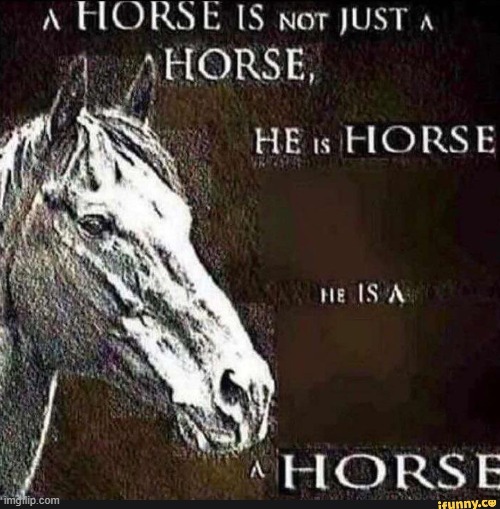 i want this to become  the reposting sensation that was the child labour meme | image tagged in a horse | made w/ Imgflip meme maker