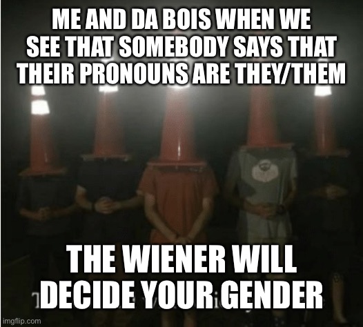 The council will decide your fate | ME AND DA BOIS WHEN WE SEE THAT SOMEBODY SAYS THAT THEIR PRONOUNS ARE THEY/THEM; THE WIENER WILL DECIDE YOUR GENDER | image tagged in the council will decide your fate | made w/ Imgflip meme maker