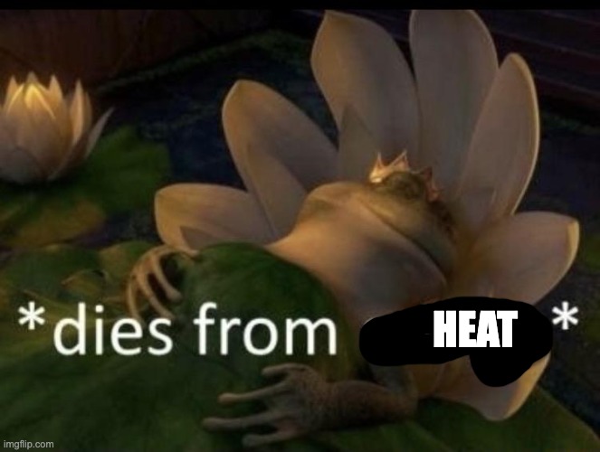 Dies from cringe | HEAT | image tagged in dies from cringe | made w/ Imgflip meme maker