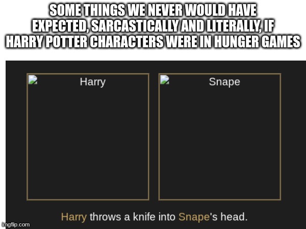 Hunger Games/ Harry Potter fun over here | SOME THINGS WE WOULD NEVER HAVE EXPECTED, SARCASTICALLY AND LITERALLY, IF HARRY POTTER CHARACTERS WERE IN HUNGER GAMES | image tagged in harry potter,hunger games | made w/ Imgflip meme maker