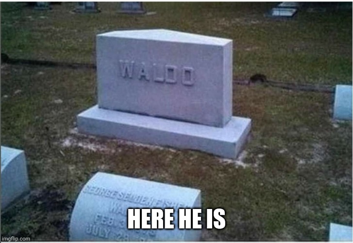 Waldo, Where's Waldo | HERE HE IS | image tagged in waldo where's waldo | made w/ Imgflip meme maker