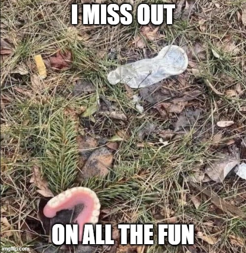 toothy critter | I MISS OUT; ON ALL THE FUN | image tagged in dentures,elderly,toothless,gummy bears,missing | made w/ Imgflip meme maker