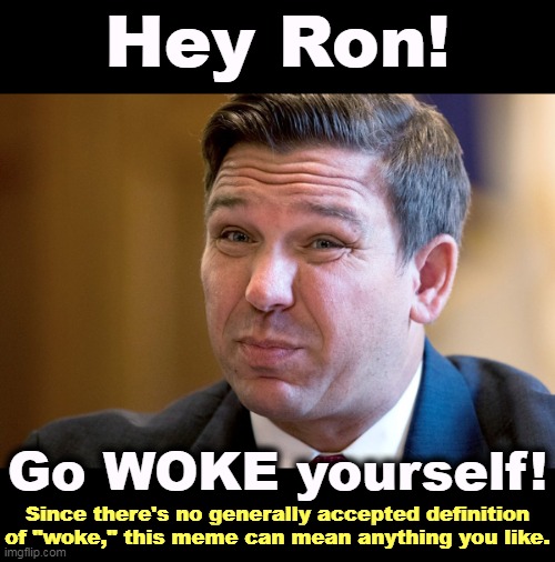 I know what I like. | Hey Ron! Go WOKE yourself! Since there's no generally accepted definition of "woke," this meme can mean anything you like. | image tagged in ron desantis overcome by his own stupidity,ron desantis,woke,definition,missing | made w/ Imgflip meme maker