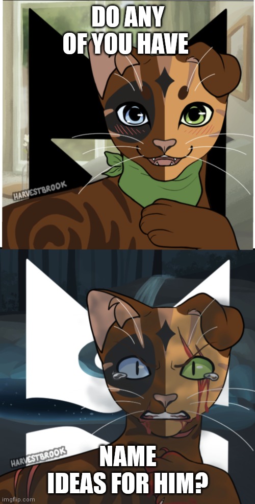 Name Ideas? | DO ANY OF YOU HAVE; NAME IDEAS FOR HIM? | image tagged in warrior cats | made w/ Imgflip meme maker