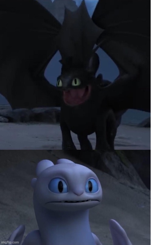 Toothless and Lightfury meme | image tagged in toothless and lightfury meme | made w/ Imgflip meme maker