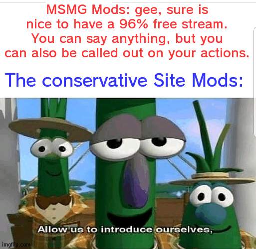 The never lost irony. | MSMG Mods: gee, sure is nice to have a 96% free stream. You can say anything, but you can also be called out on your actions. The conservative Site Mods: | image tagged in allow us to introduce ourselves | made w/ Imgflip meme maker