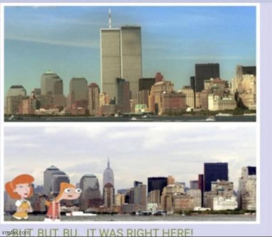 I could've sworn I seen them | image tagged in phineas and ferb,911 | made w/ Imgflip meme maker