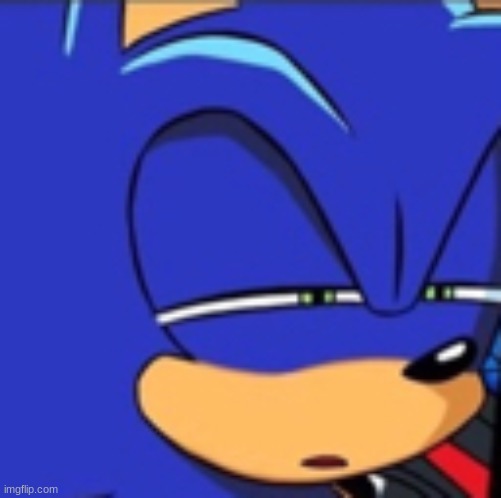 sonic squint | image tagged in sonic squint | made w/ Imgflip meme maker