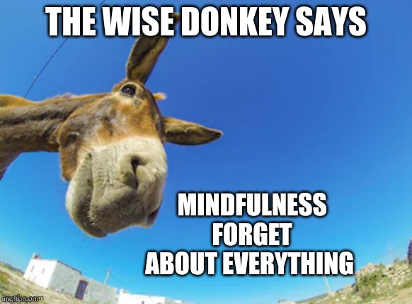 Wise Donkey | MINDFULNESS
FORGET ABOUT EVERYTHING | image tagged in wise donkey says | made w/ Imgflip meme maker