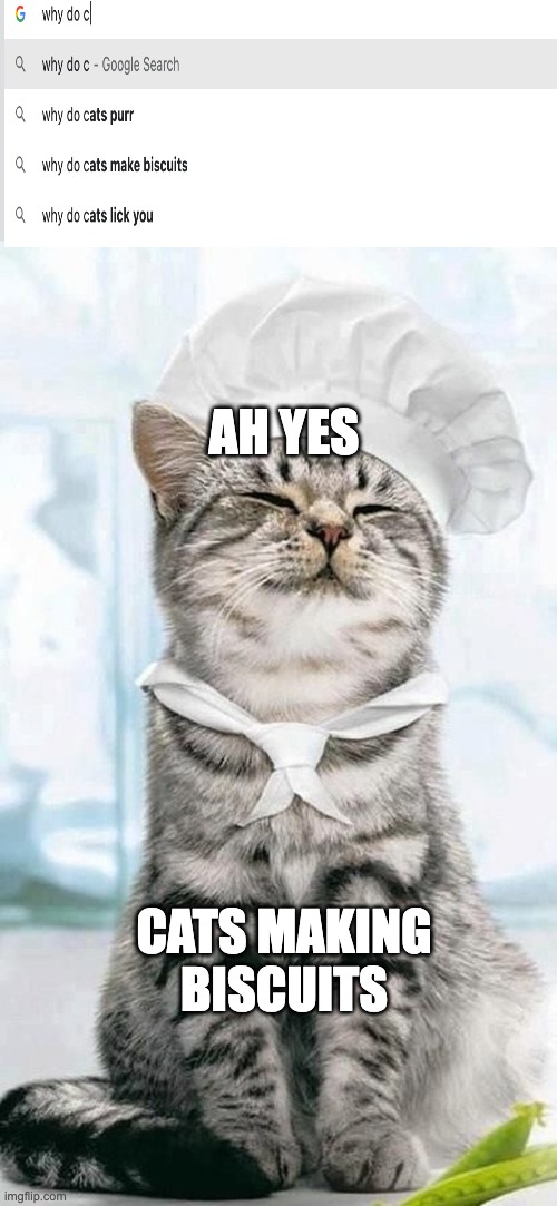 SMORT CAT | AH YES; CATS MAKING BISCUITS | image tagged in cat cook | made w/ Imgflip meme maker