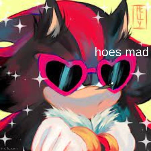 chic shadow | hoes mad | image tagged in chic shadow | made w/ Imgflip meme maker
