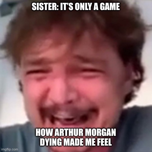 Hit a nerve | SISTER: IT’S ONLY A GAME; HOW ARTHUR MORGAN DYING MADE ME FEEL | image tagged in red dead redemption | made w/ Imgflip meme maker