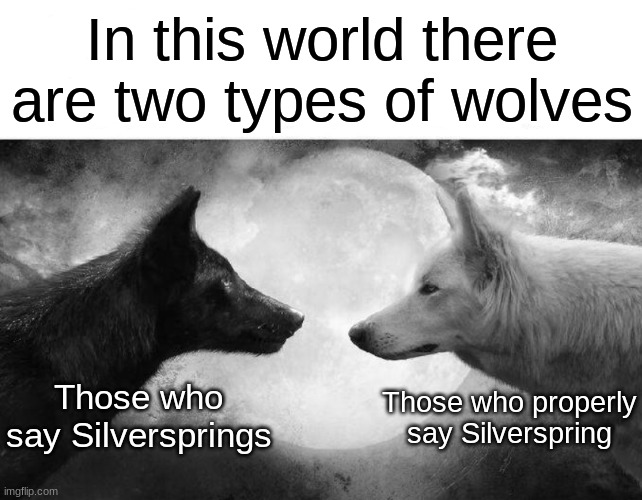As a Saskatoon-born, I can relate to this | In this world there are two types of wolves; Those who properly say Silverspring; Those who say Silversprings | image tagged in inside of you there are two wolves | made w/ Imgflip meme maker