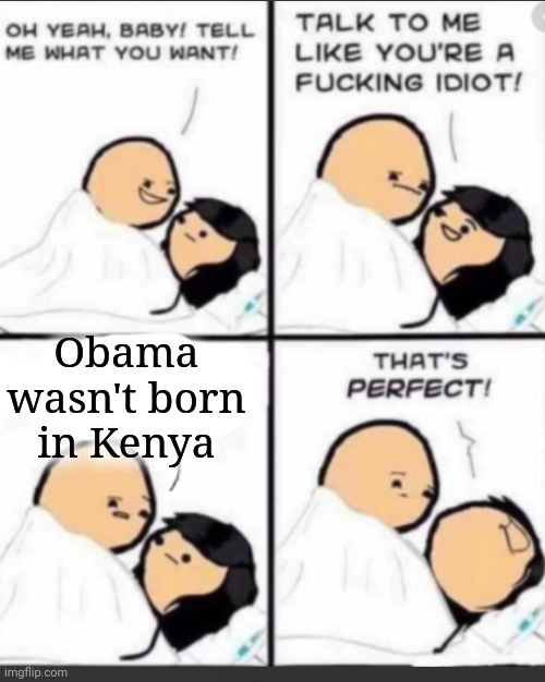 Talk to me like a Idiot | Obama wasn't born in Kenya | image tagged in talk to me like a idiot,scumbag democrats,barry from kenya | made w/ Imgflip meme maker