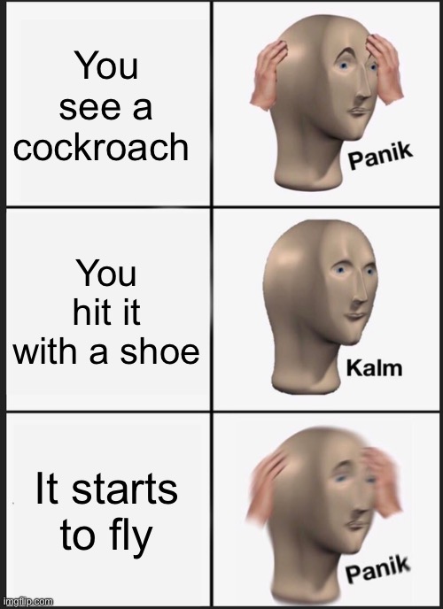 Welp… I’m moving… | You see a cockroach; You hit it with a shoe; It starts to fly | image tagged in memes,panik kalm panik,cockroach | made w/ Imgflip meme maker