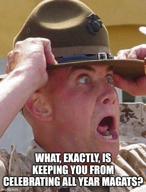 Marine Drill Sergeant  | WHAT, EXACTLY, IS KEEPING YOU FROM CELEBRATING ALL YEAR MAGATS? | image tagged in marine drill sergeant | made w/ Imgflip meme maker